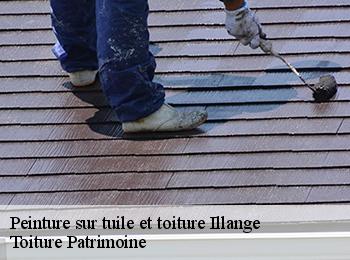 Peinture sur tuile et toiture