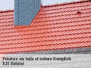 Peinture sur tuile et toiture kemplich-57920 KH Habitat