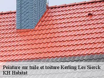 Peinture sur tuile et toiture  kerling-les-sierck-57480 KH Habitat