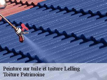 Peinture sur tuile et toiture  lelling-57660 Toiture Patrimoine