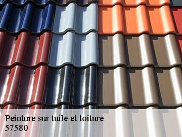 Peinture sur tuile et toiture 57580