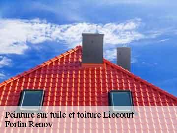 Peinture sur tuile et toiture liocourt-57590 Fortin Renov