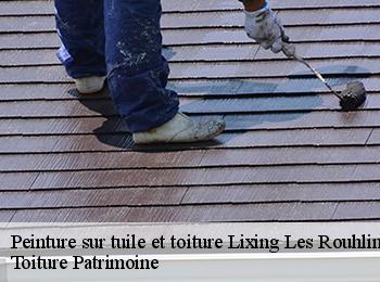 Peinture sur tuile et toiture