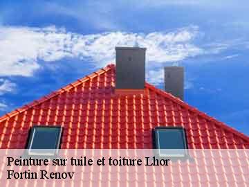 Peinture sur tuile et toiture lhor-57670 Fortin Renov