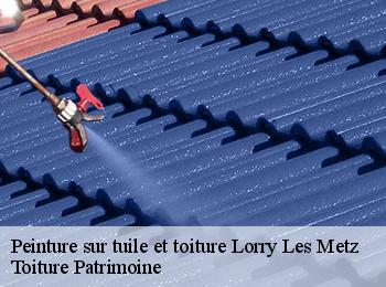 Peinture sur tuile et toiture  lorry-les-metz-57050 Toiture Patrimoine