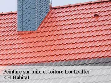 Peinture sur tuile et toiture loutzviller-57720 KH Habitat