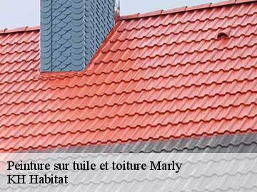 Peinture sur tuile et toiture  marly-57157 Couvreur Bouillon