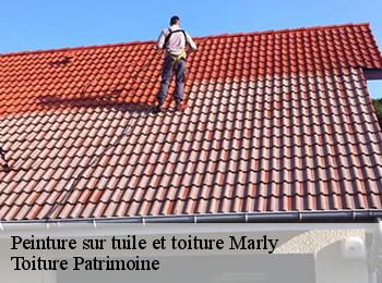Peinture sur tuile et toiture  57157
