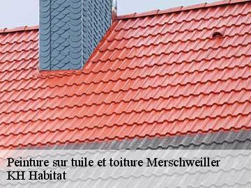 Peinture sur tuile et toiture merschweiller-57480 KH Habitat