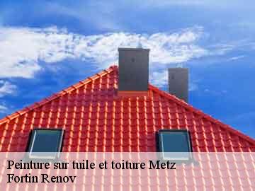 Peinture sur tuile et toiture  metz-57000 Fortin Renov