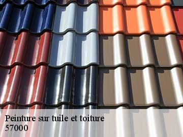Peinture sur tuile et toiture 57000