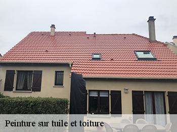Peinture sur tuile et toiture  57000