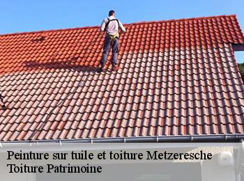 Peinture sur tuile et toiture  57920