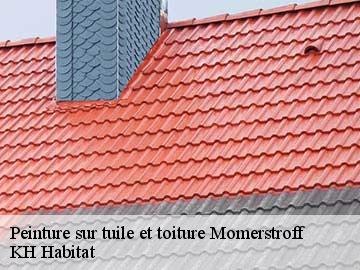 Peinture sur tuile et toiture momerstroff-57220 KH Habitat