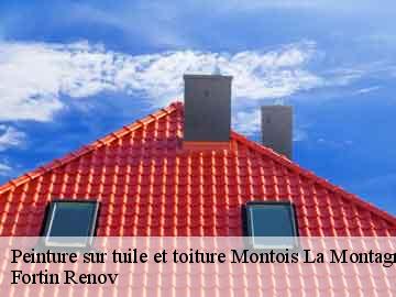 Peinture sur tuile et toiture montois-la-montagne-57860 Fortin Renov