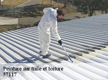Peinture sur tuile et toiture  57117