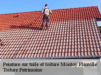 Peinture sur tuile et toiture  57117