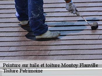 Peinture sur tuile et toiture