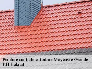 Peinture sur tuile et toiture moyeuvre-grande-57250 KH Habitat