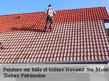 Peinture sur tuile et toiture  57680