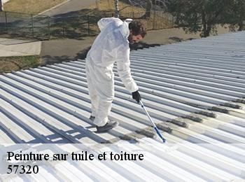 Peinture sur tuile et toiture  57320