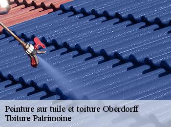 Peinture sur tuile et toiture  oberdorff-57320 Toiture Patrimoine