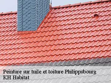 Peinture sur tuile et toiture philippsbourg-57230 KH Habitat