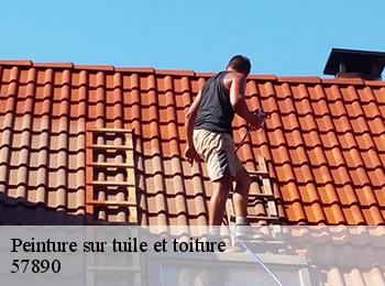 Peinture sur tuile et toiture