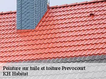Peinture sur tuile et toiture prevocourt-57590 KH Habitat