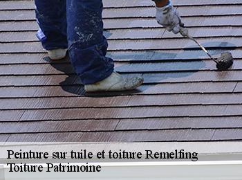 Peinture sur tuile et toiture