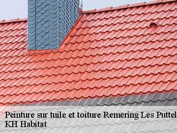 Peinture sur tuile et toiture remering-les-puttelange-57510 KH Habitat