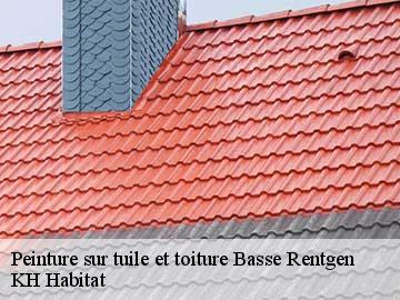 Peinture sur tuile et toiture  basse-rentgen-57570 Couvreur Bouillon