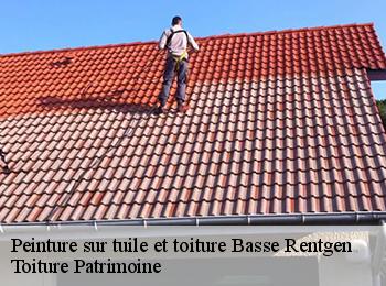 Peinture sur tuile et toiture  57570