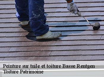 Peinture sur tuile et toiture