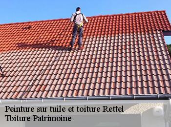 Peinture sur tuile et toiture  57480