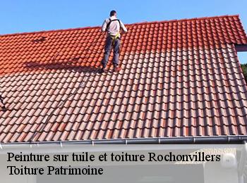Peinture sur tuile et toiture  57840