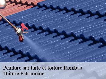 Peinture sur tuile et toiture  rombas-57120 Toiture Patrimoine