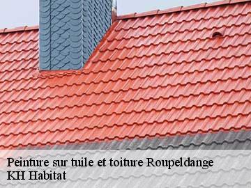 Peinture sur tuile et toiture  roupeldange-57220 KH Habitat