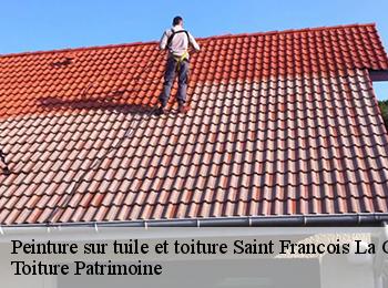 Peinture sur tuile et toiture  57320