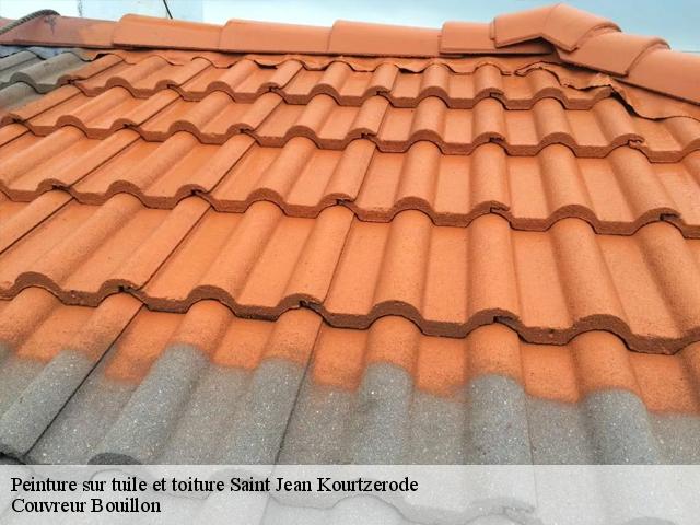 Peinture sur tuile et toiture  saint-jean-kourtzerode-57370 Couvreur Bouillon