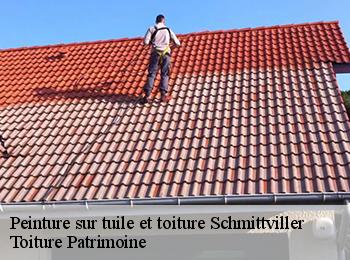 Peinture sur tuile et toiture 57410