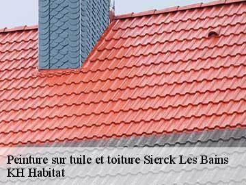 Peinture sur tuile et toiture sierck-les-bains-57480 KH Habitat