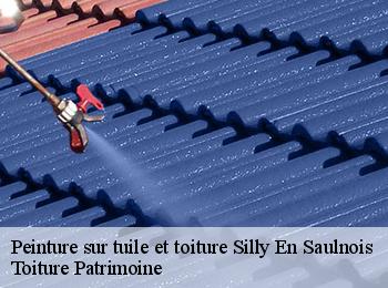 Peinture sur tuile et toiture  silly-en-saulnois-57420 Toiture Patrimoine