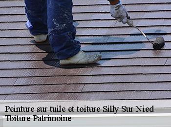 Peinture sur tuile et toiture