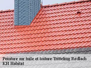 Peinture sur tuile et toiture tritteling-redlach-57385 KH Habitat