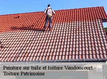 Peinture sur tuile et toiture  57220