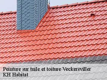 Peinture sur tuile et toiture veckersviller-57370 KH Habitat