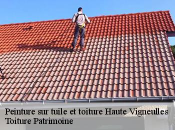 Peinture sur tuile et toiture  57690