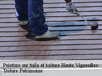 Peinture sur tuile et toiture