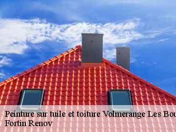 Peinture sur tuile et toiture volmerange-les-boulay-57220 Fortin Renov